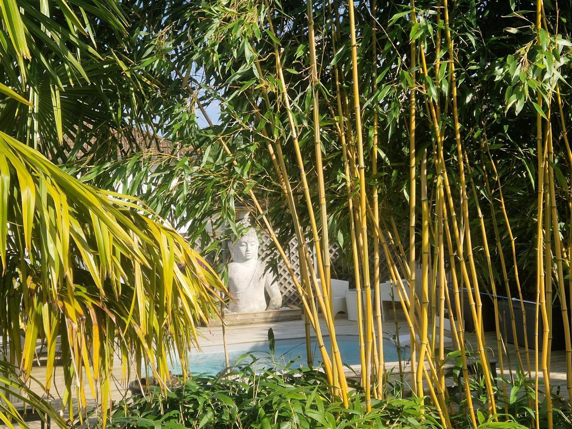 La Serenite Balinaise, Chambre Et Sdb Privee, Jardin , Piscine Et Jacuzzi En Saison, Pres De Chantilly, Parc Asterix Et Cdg Et Paris En 20' Орри-ла-Виль Экстерьер фото